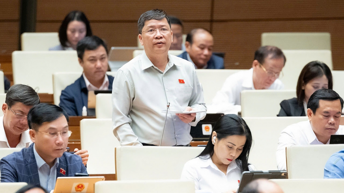 Đại biểu Tạ Văn Hạ, TP Đà Nẵng