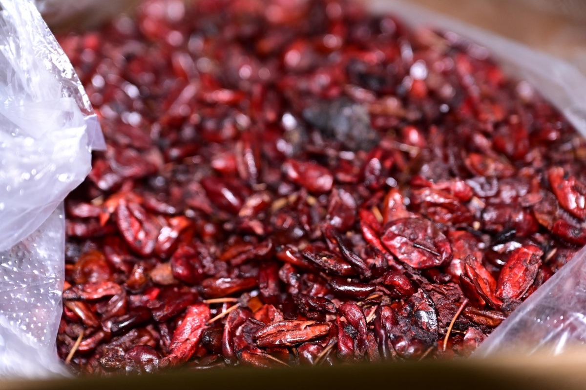 Hai đối tượng bán hạt “ngọc dương” với quảng cáo có nguồn gốc từ vùng núi cao, chuyên chữa các bệnh về xương khớp, tiền đình, đau mỏi vai gáy (Ảnh: Công an Hải Phòng)