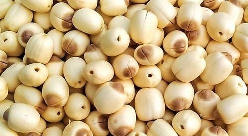 Hạt sen không chỉ là nguyên liệu quen thuộc trong ẩm thực Việt mà còn là “thực phẩm vàng” mang lại nhiều lợi ích cho sức khỏe