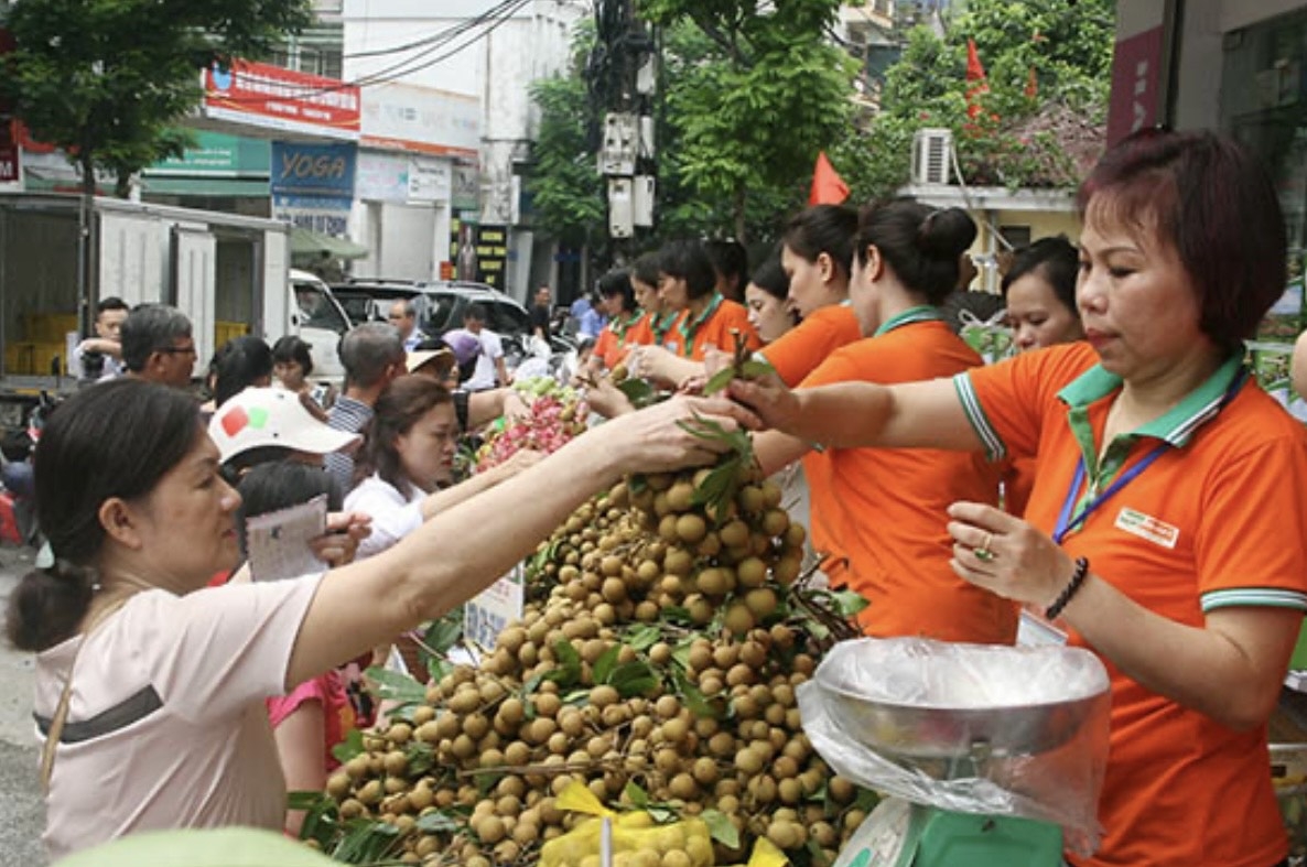 Sản phẩm nhãn quả tươi của Sơn La được tiêu thụ ở nhiều địa phương trong cả nước (ảnh: ĐT)