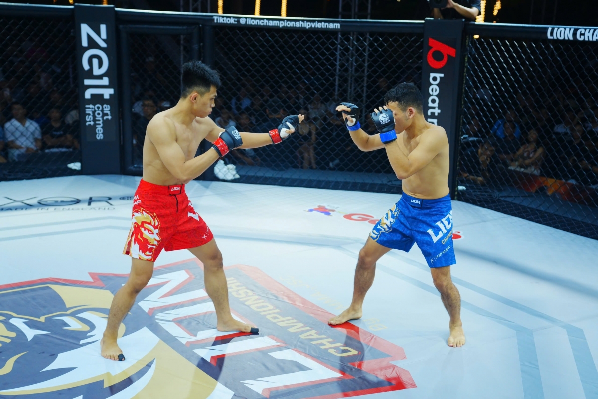 Sự kiện tiếp theo của MMA Lion Championship (LC 29) sẽ diễn ra vào tháng 12 tại Hà Nội.