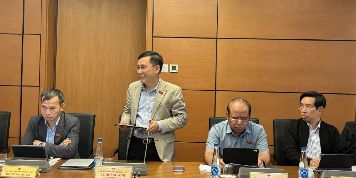 Đại biểu Lê Hoàng Anh cho rằng, "tự chủ chiến lược" là điểm nhấn có ý nghĩa lý luận và thực tiễn sâu sắc, phản ánh bước phát triển mới trong tư duy lãnh đạo của Đảng trong bối cảnh thế giới biến động nhanh, phức tạp, khó lường.