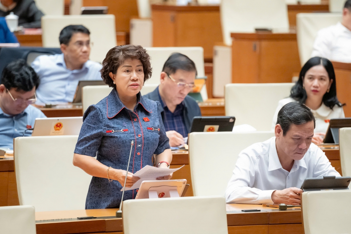 ĐBQH Nguyễn Thị Lệ Thủy - Vĩnh Long. Ảnh Quốc hội