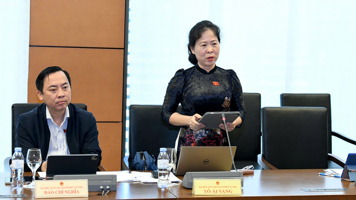 Đại biểu Tô Ái Vang (đoàn Cần Thơ)