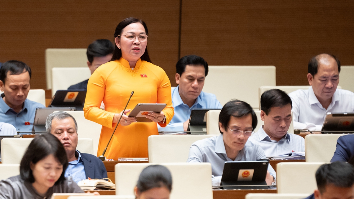 Đại biểu Lý Thanh Thư (đoàn An Giang)