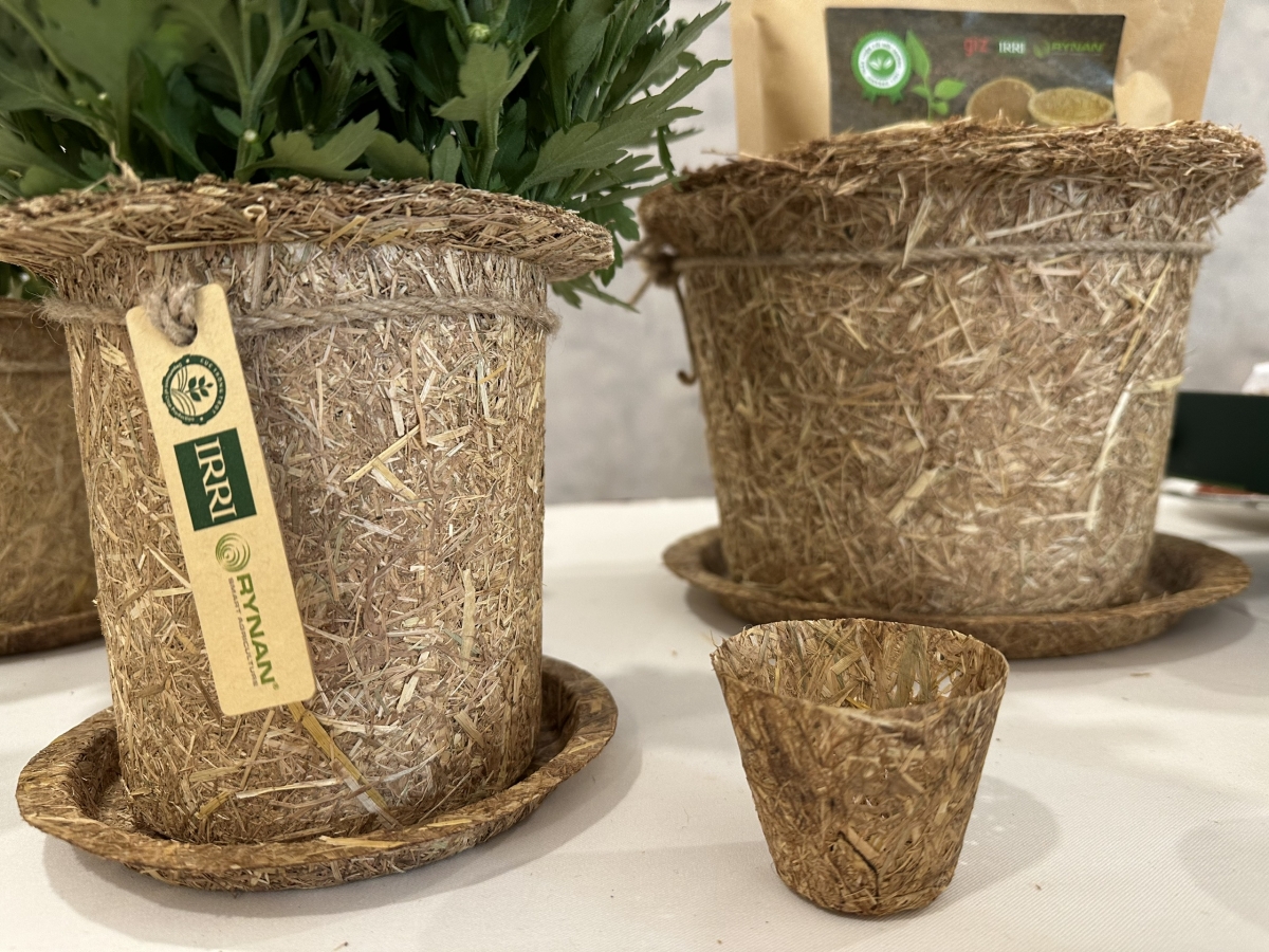 Nâng cao giá trị từ rơm rạ