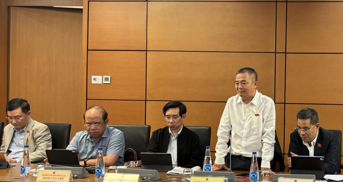 Đại biểu Nguyễn Lân Hiếu góp ý về vấn đề chăm sóc sức khỏe cho người dân.