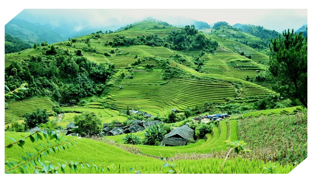 Ngành nông nghiệp đóng vai trò nòng cốt trong bảo vệ tài nguyên và hệ sinh thái.    Ảnh: KT