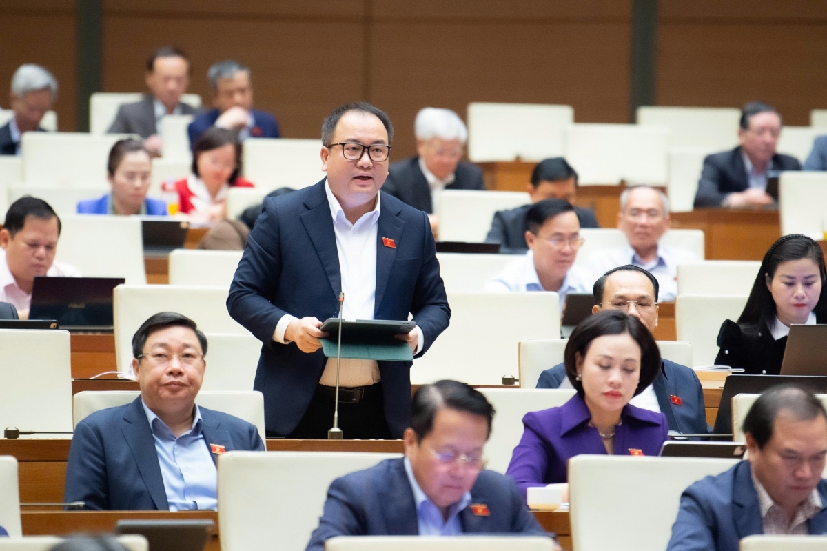 ĐQBH Phạm Trọng Nghĩa, đoàn Lạng Sơn (Ảnh: Quốc hội)