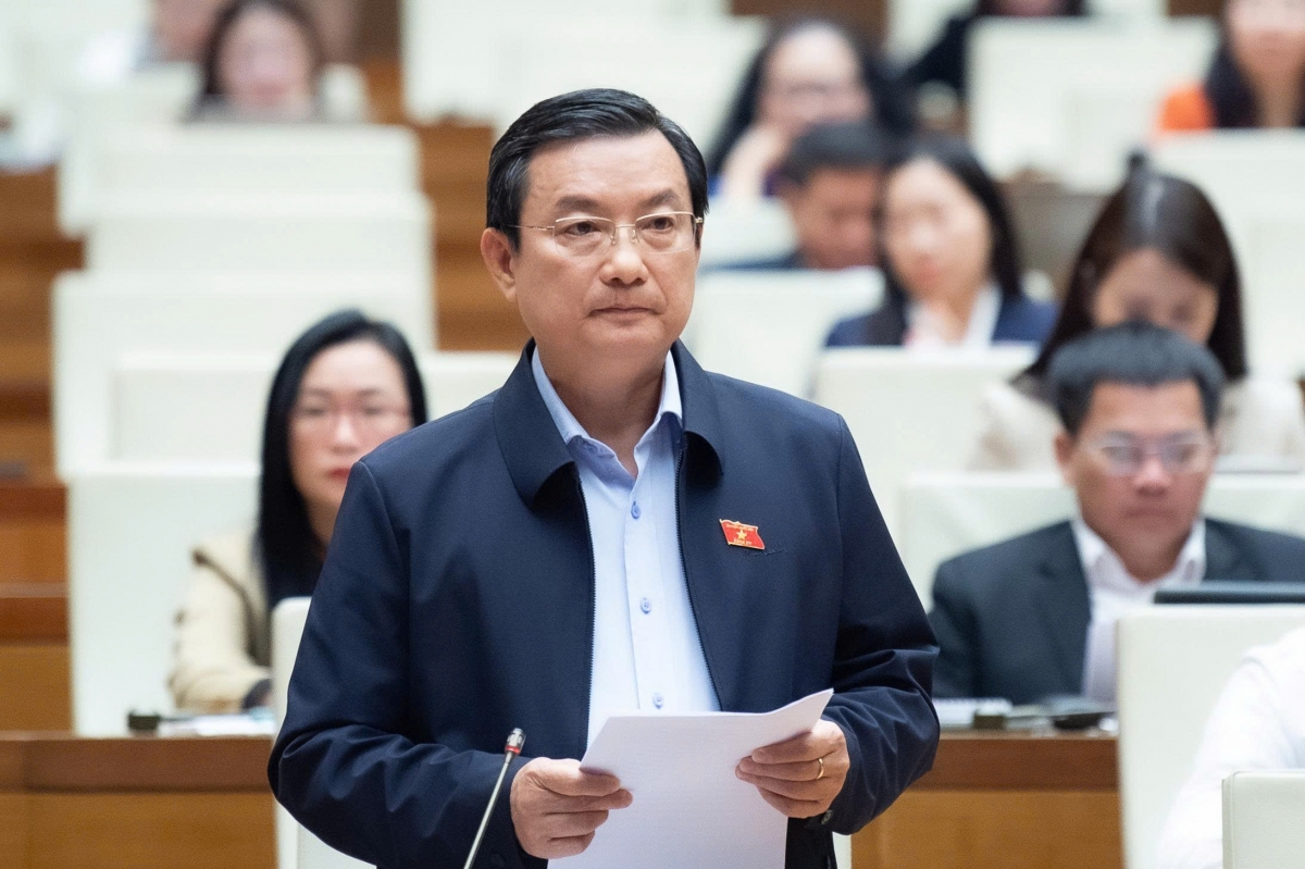 ĐBQH Phạm Trọng Nhân, đoàn TP.HCM (Ảnh: Quốc hội)