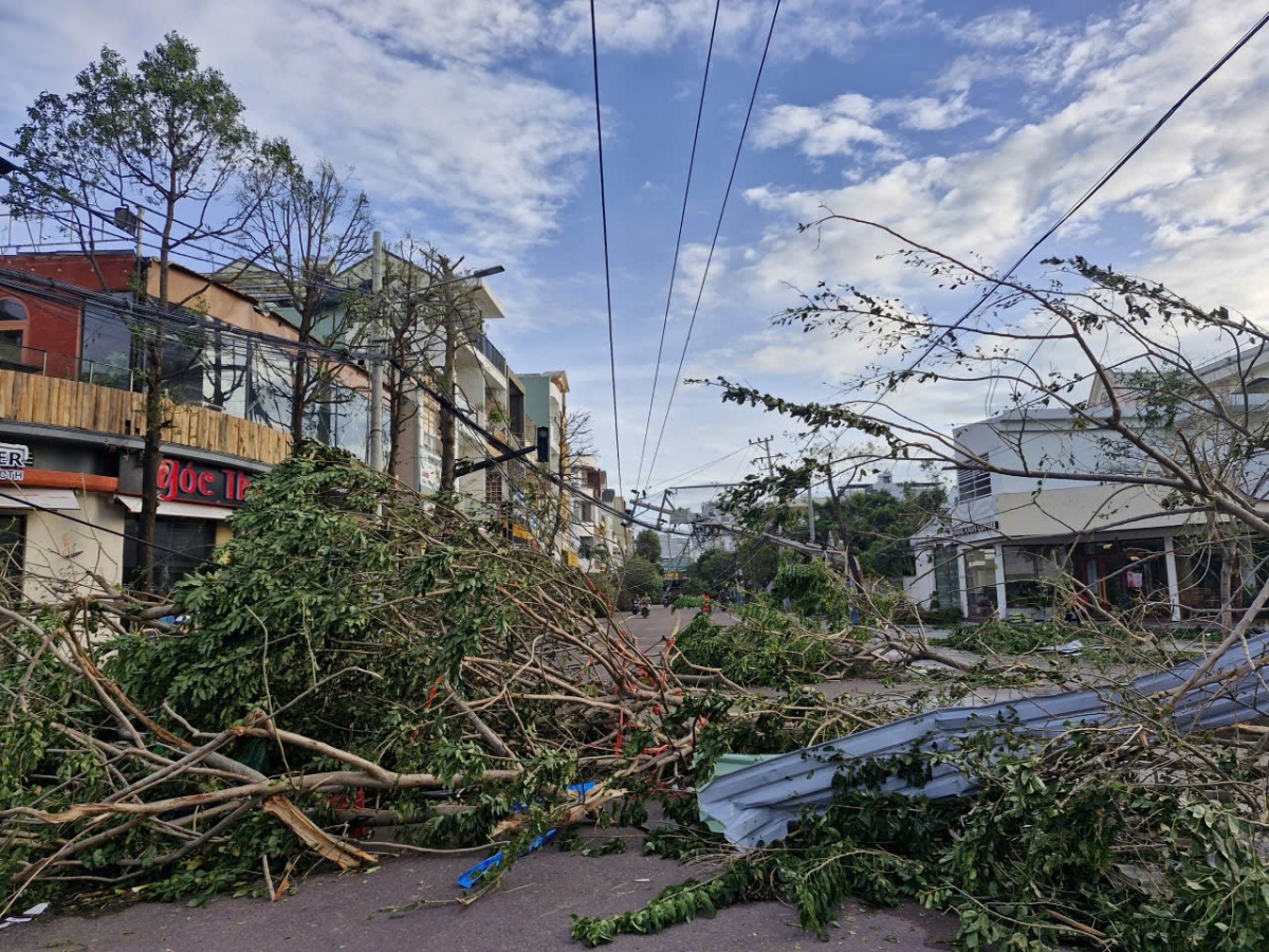 Sau bão, tại Gia Lai cây cối gãy đổ khắp các tuyến phố.