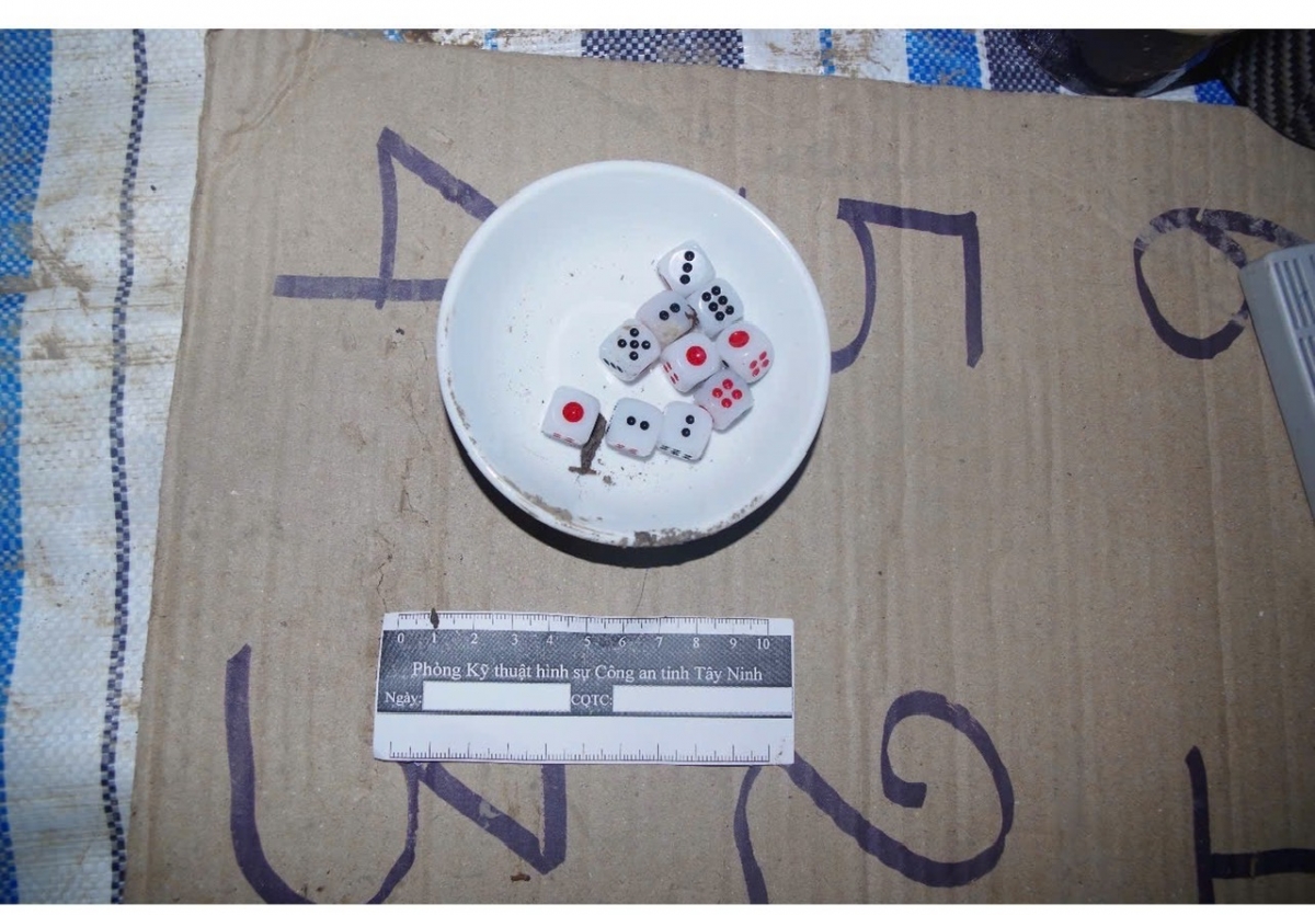 Tang vật vụ vụ việc. (Ảnh: Q.A)