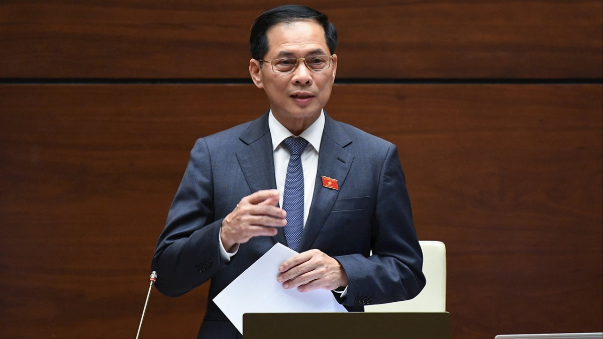 Phó Thủ tướng Chính phủ Bùi Thanh Sơn phát biểu giải trình tại phiên thảo luận.