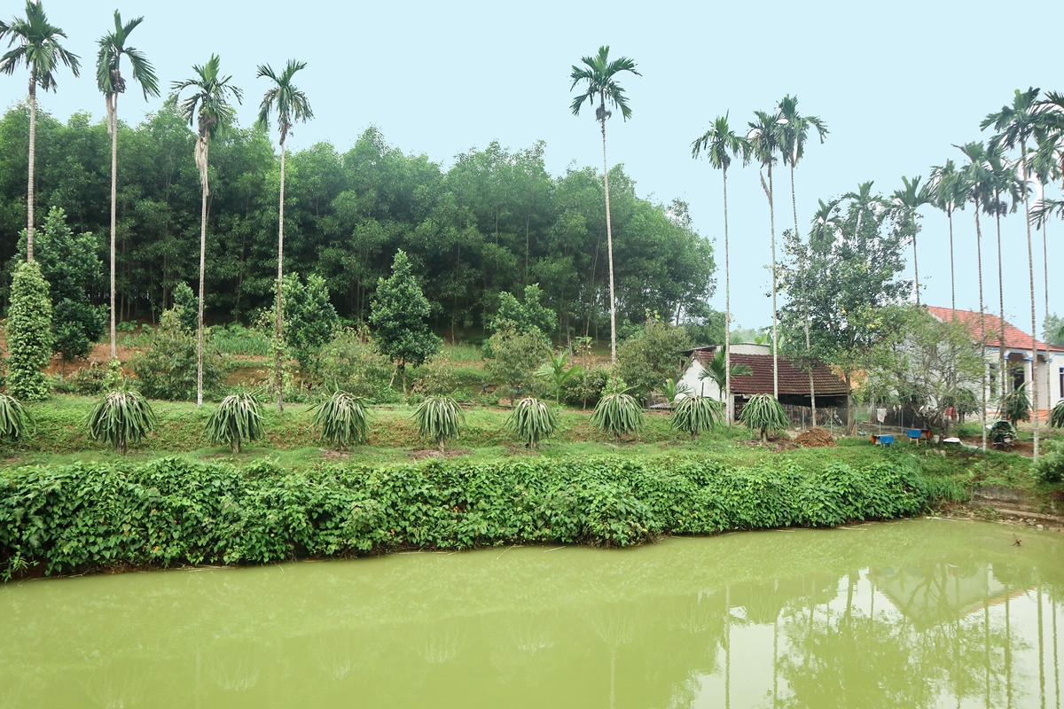 Ảnh minh họa: KT