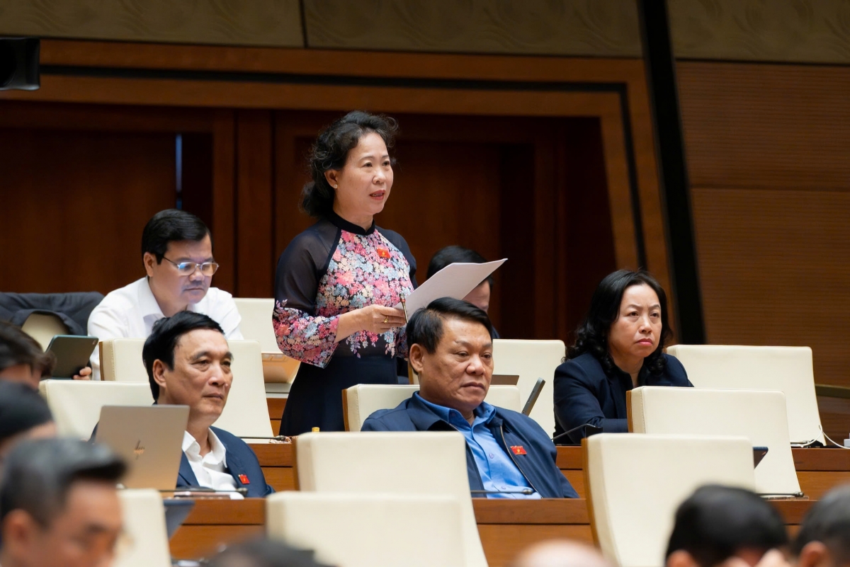 ĐBQH Tô Ái Vang quan tâm đến kinh phí cho công tác phòng bệnh. Ảnh Quốc hội 