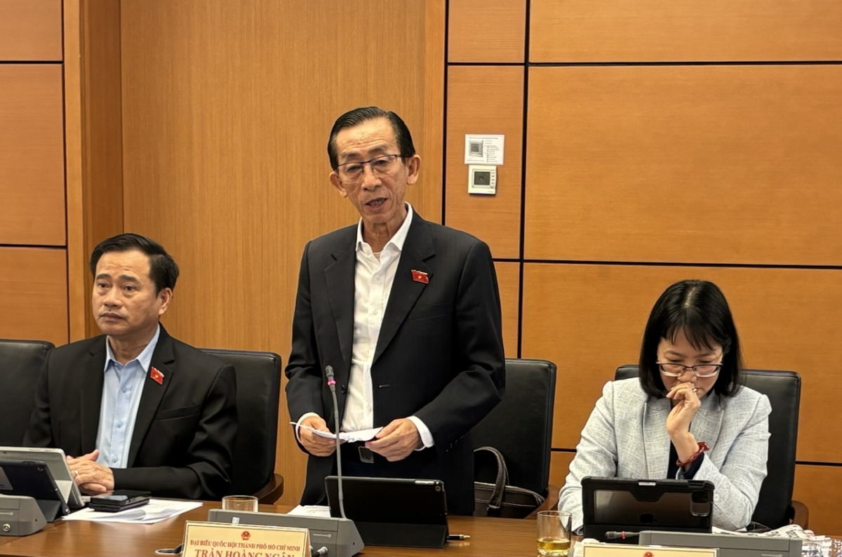 Đại biểu Trần Hoàng Ngân (đoàn TP.HCM) nhấn mạnh đến sức mạnh nội sinh của nền kinh tế.