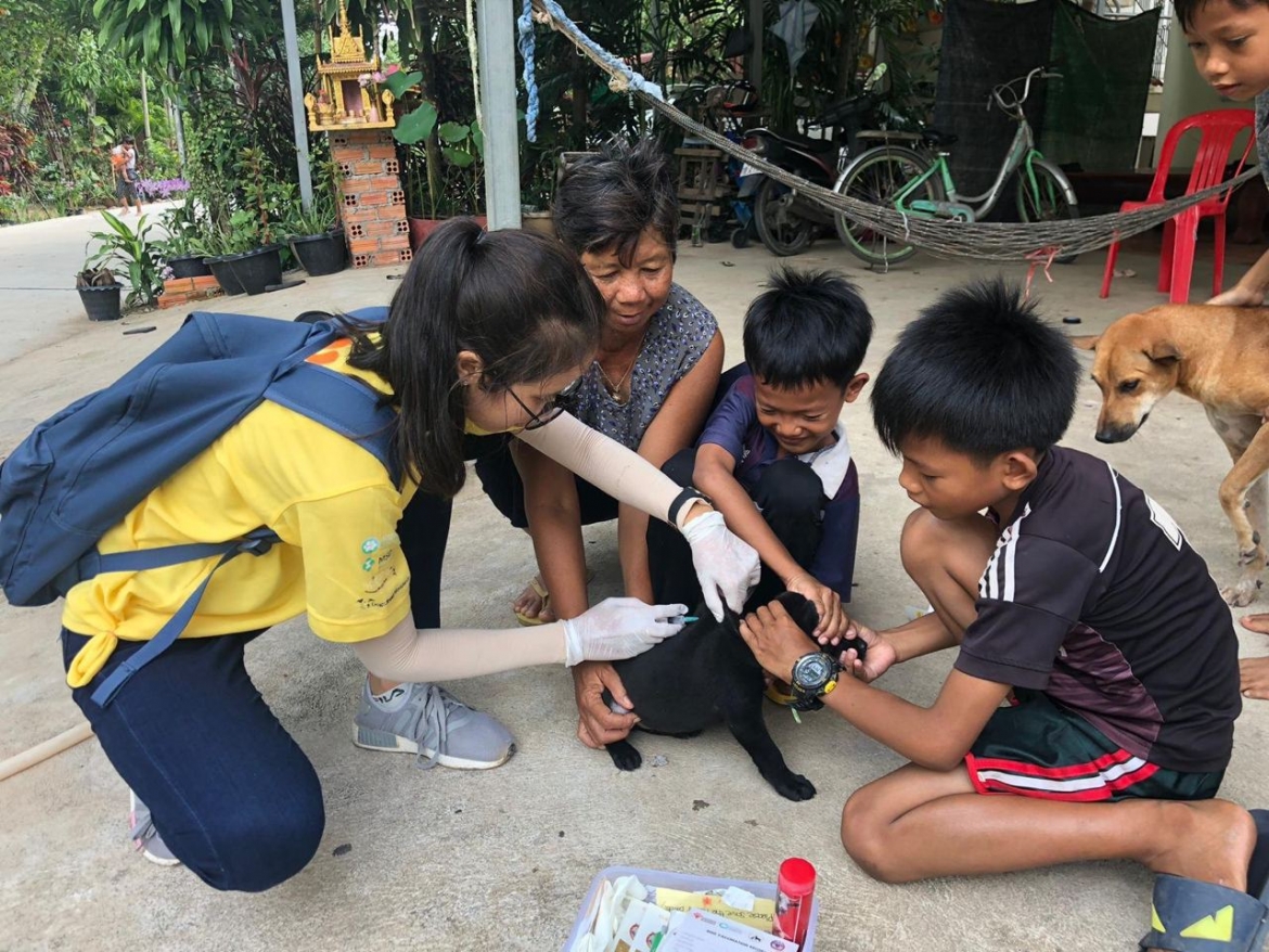 Với sự hỗ trợ mạnh mẽ từ các đối tác quốc tế, Campuchia vừa hoàn thành một đợt tiêm phòng dại kỷ lục cho chó, với hơn 221 nghìn con được tiêm chủng ngừa