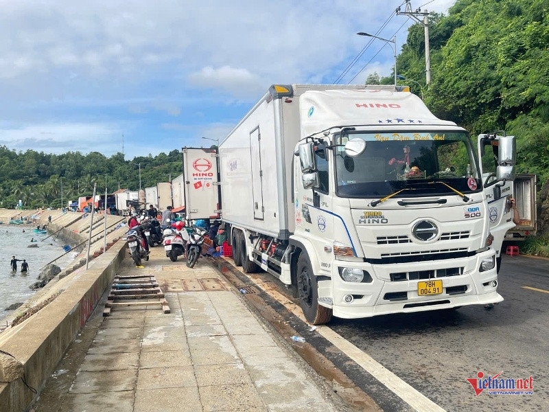 Dọc tuyến đường vào vịnh, hàng chục xe ô tô đông lạnh nối đuôi nhau xếp thành hàng dài. Ảnh: Trần Hoàn