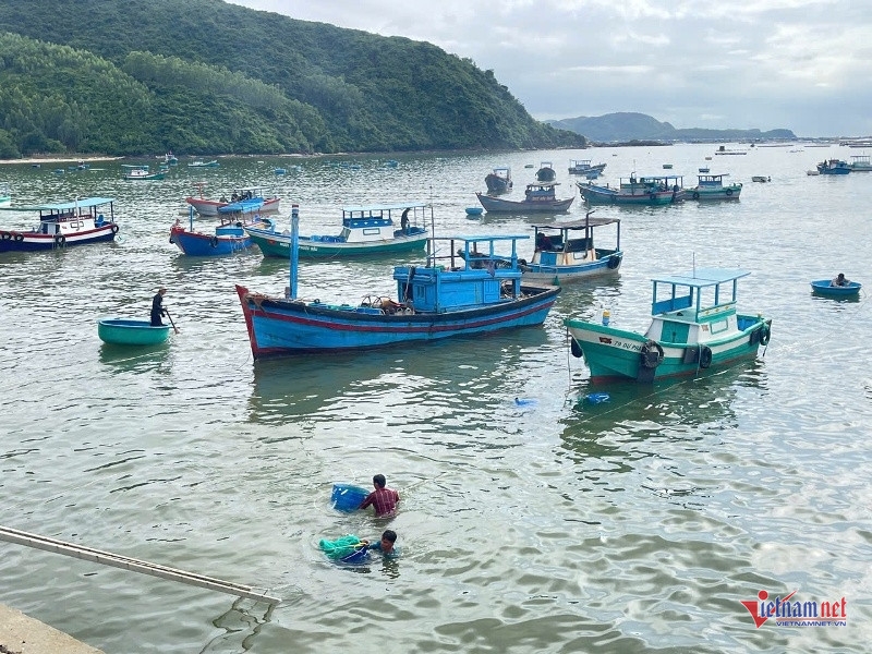 Hàng chục tàu thuyền liên tục ra vào cảng, mang theo hàng trăm lồng tôm lên bờ tiêu thụ sớm. Ảnh: Trần Hoàn