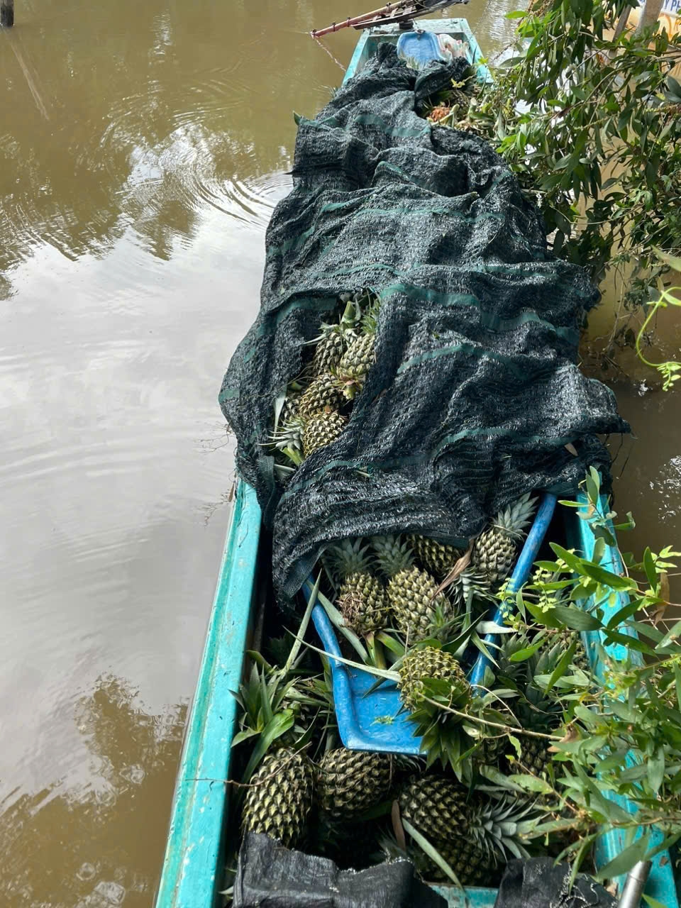 Tang vật mà các nghi phạm trộm cắp của người dân