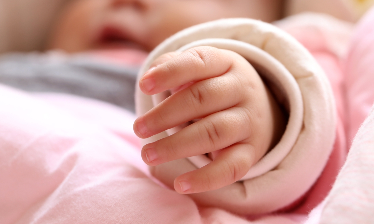 Ảnh minh họa: IC