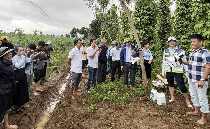 Cán bộ khuyến nông Đắk Lắk hướng dẫn bà con khôi phục vườn cây sau mưa lũ (ảnh: Minh Duyên)