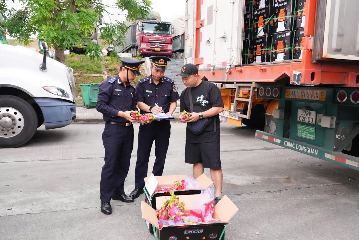 Lực lượng hải quan tăng cường kiểm tra thực tế các lô hàng có nghi vấn.