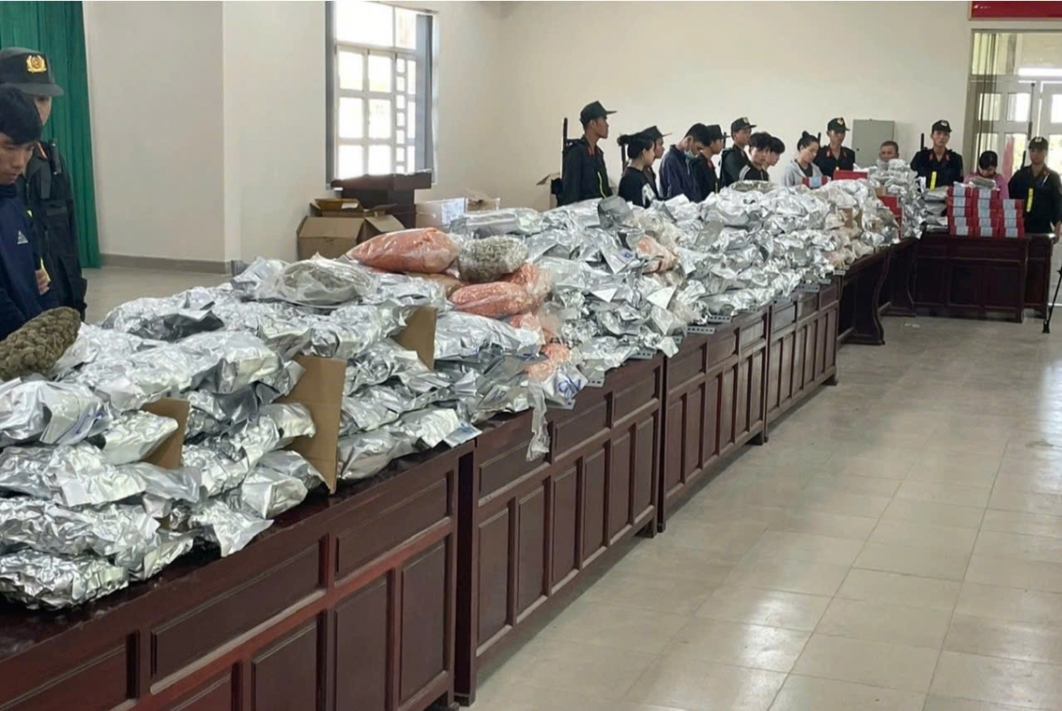 Số lượng cần sa cảnh sát thu giữ tại giai đoạn 1 (Ảnh: Công an cung cấp).