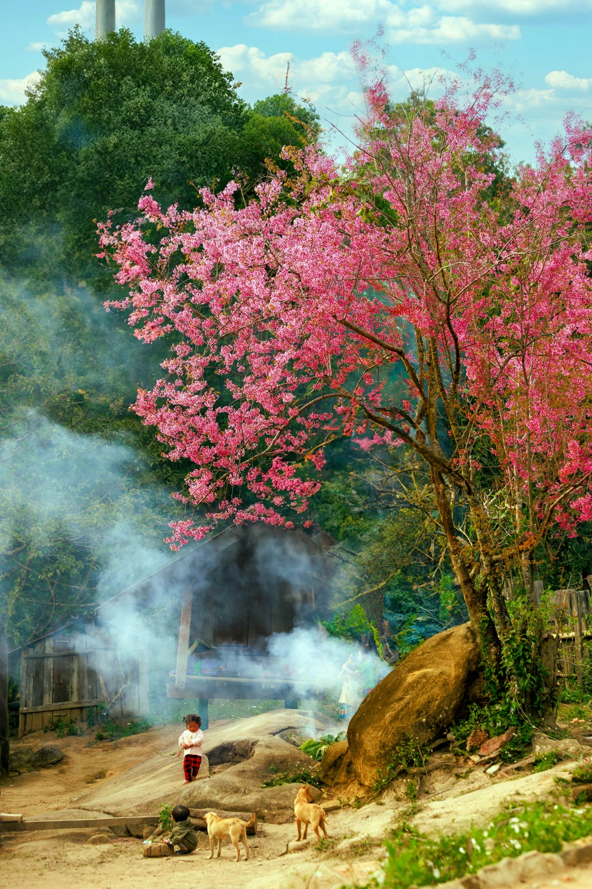 Một khung cảnh như cổ tích được ghi lại. (Ảnh: Sách Nguyễn). 