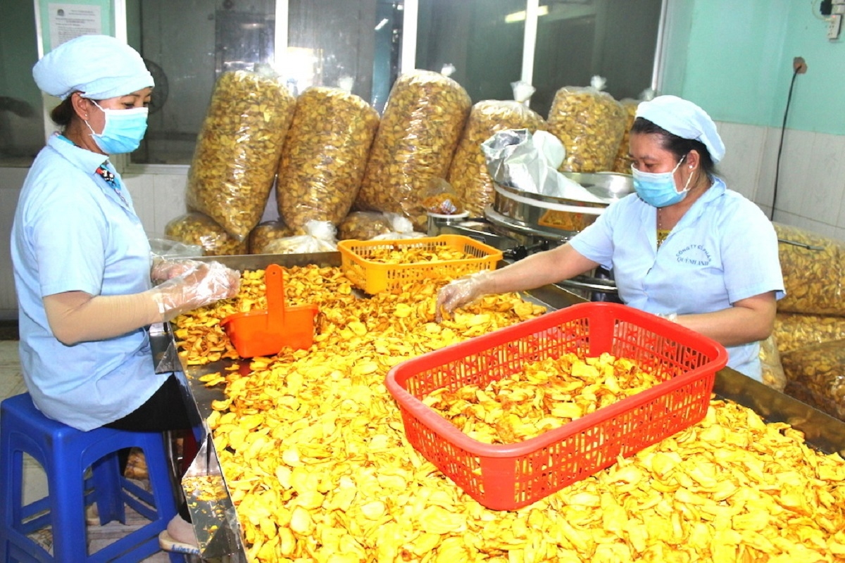 Kinh tế tập thể tạo việc làm và sinh kế ổn định cho người lao động      Ảnh: KT