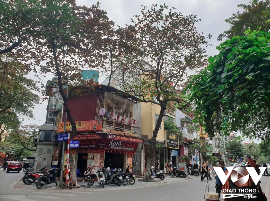 Góc phố với những cây bàng đang chuyển màu lá đỏ là những sắc màu quen thuộc của phố cổ mùa đông