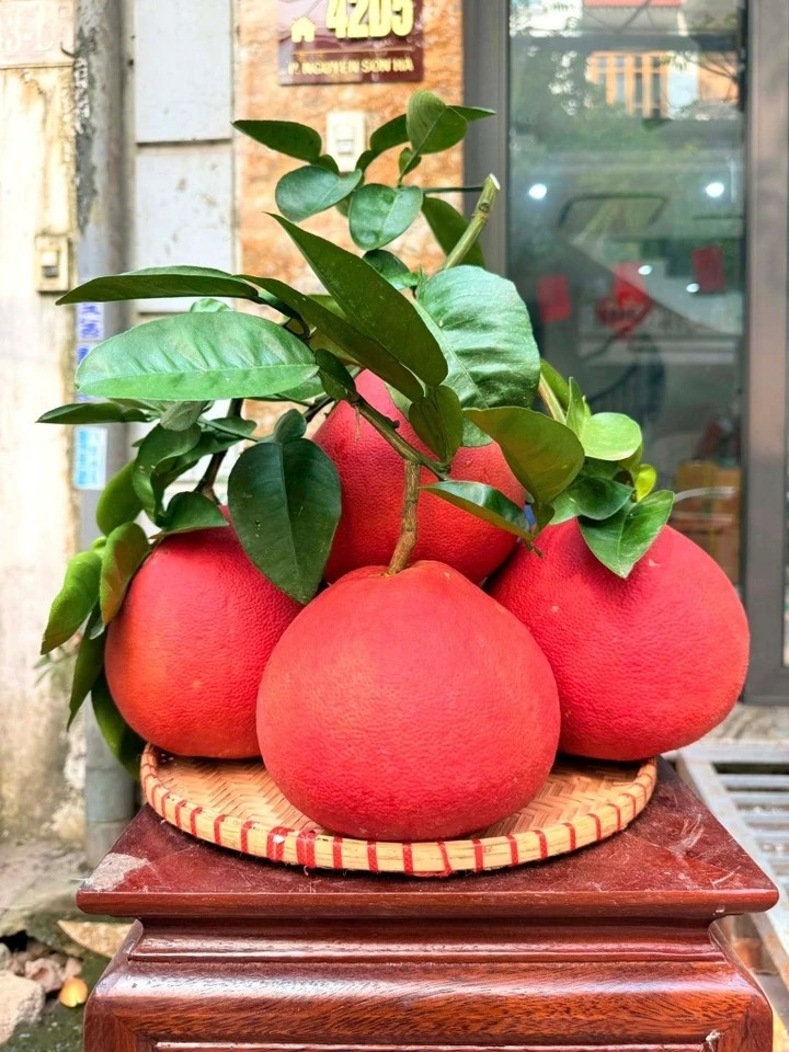 Bưởi đỏ là mặt hàng hút khách mỗi dịp Tết. (Ảnh: FB Hiền Myn)