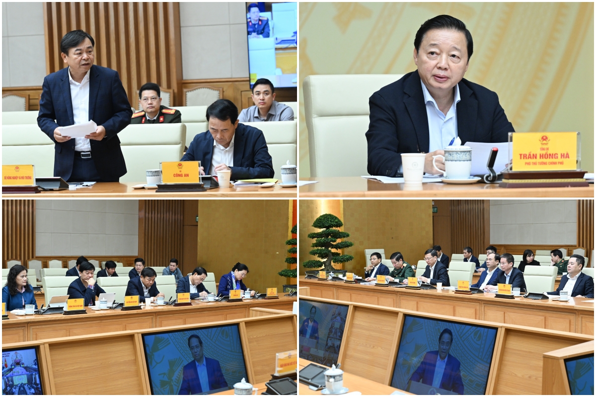 ​Các đại biểu dự hội nghị