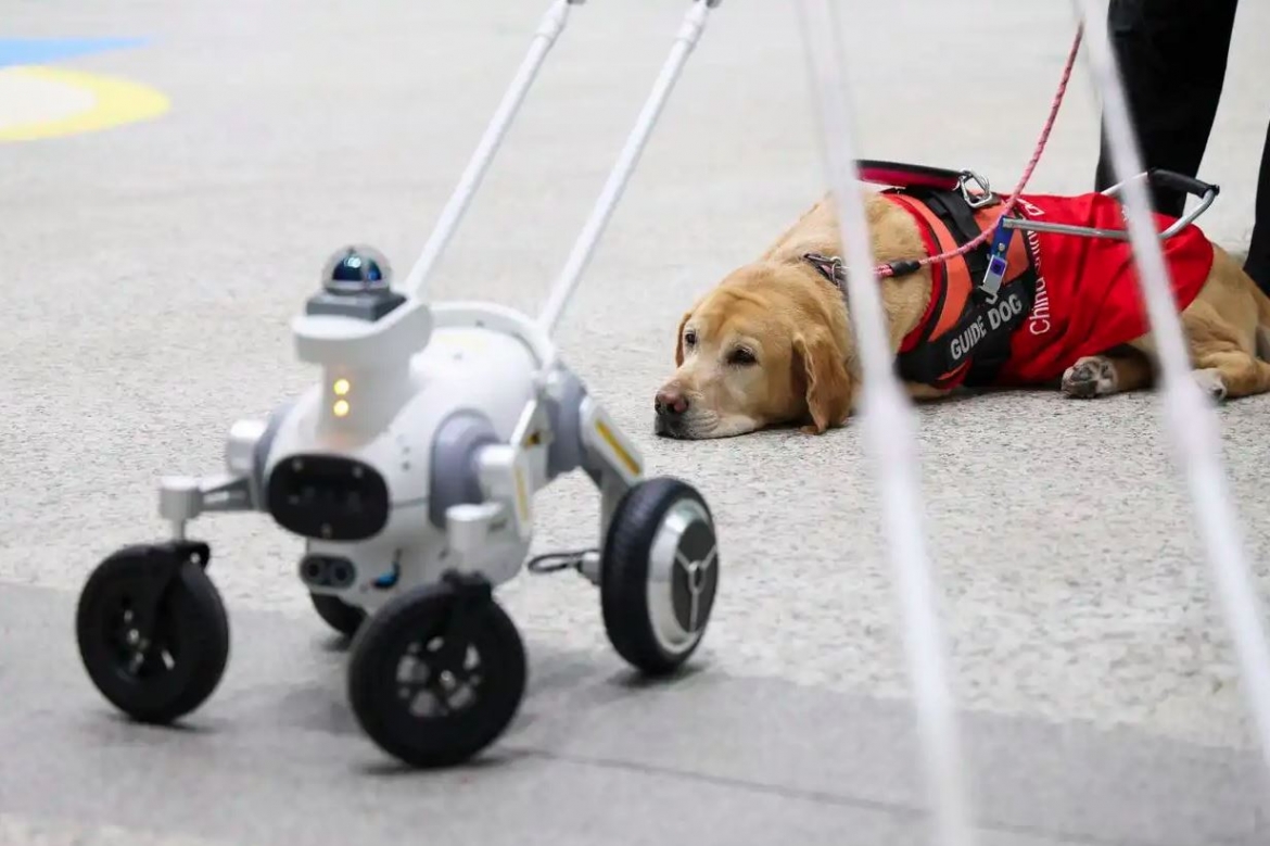 Robot “chó dẫn đường” thông minh ở ga tàu điện ngầm tại Thâm Quyến. Ảnh: Tân Hoa xã