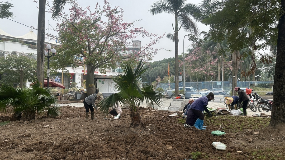 Công viên Võ Thị Sáu, dự kiến khánh thành vào ngày 7/1/2026 , công trình góp phần tạo không gian sống xanh, hiện đại, đáp ứng nhu cầu người dân quanh khu vực. 