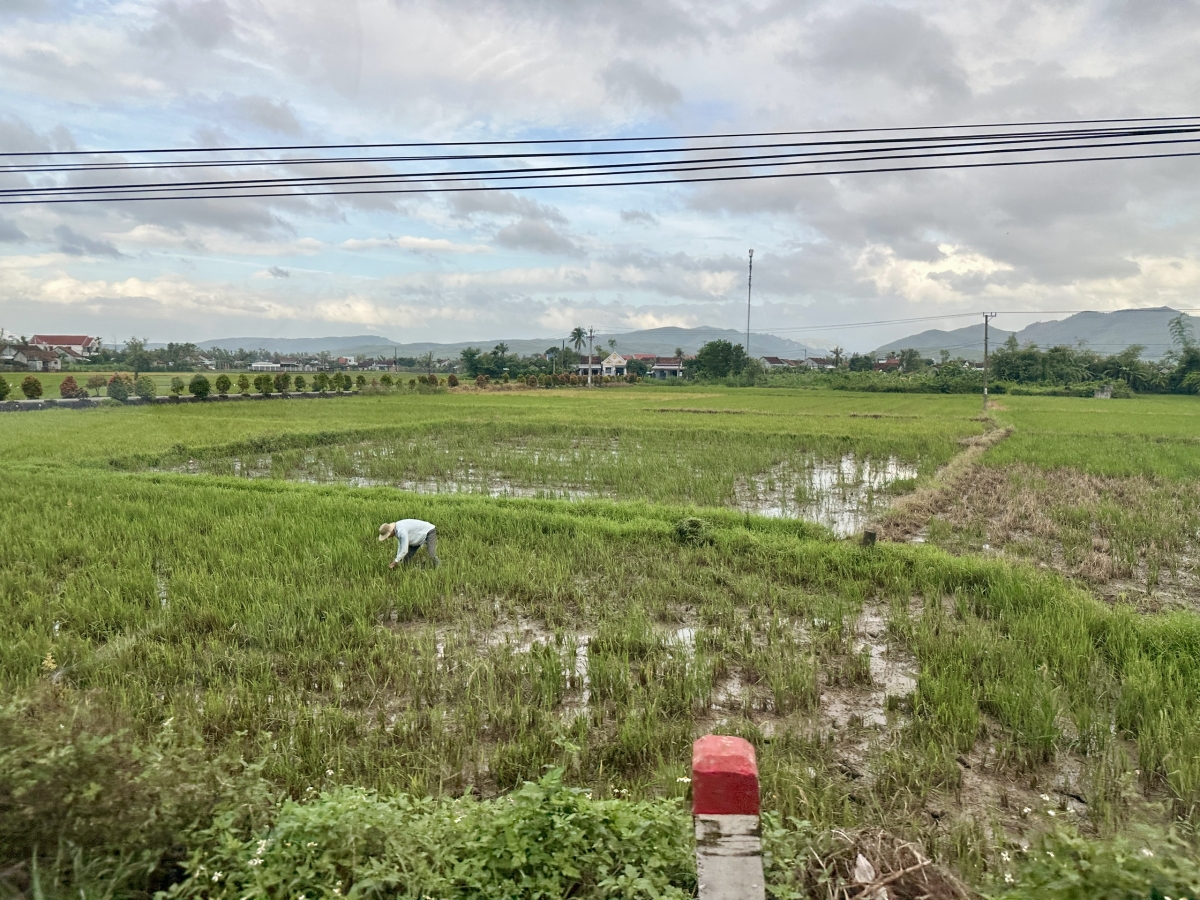 Đã trễ 1 tuần so với lịch thời vụ, nông dân sốt ruột thăm ruộng thường xuyên và mong sớm khởi động vụ Đông Xuân