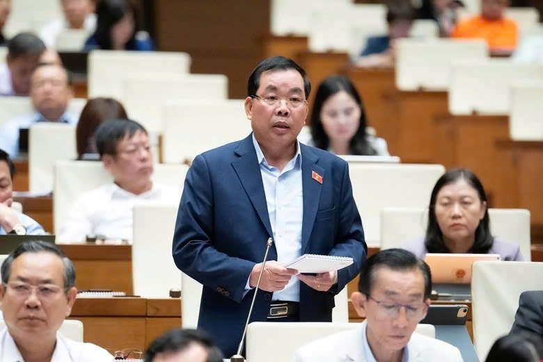 Đại biểu Nguyễn Quang Huân, Chủ tịch HĐQT Cty CP Halcom Việt Nam cho rằng, để người tài trở về và ở lại, Việt Nam cần tạo ra một "hệ sinh thái trọng dụng nhân tài" đầy đủ về đãi ngộ, trả công, môi trường làm việc, quyền tự chủ và cơ hội phát triển (Ảnh: Quốc hội)