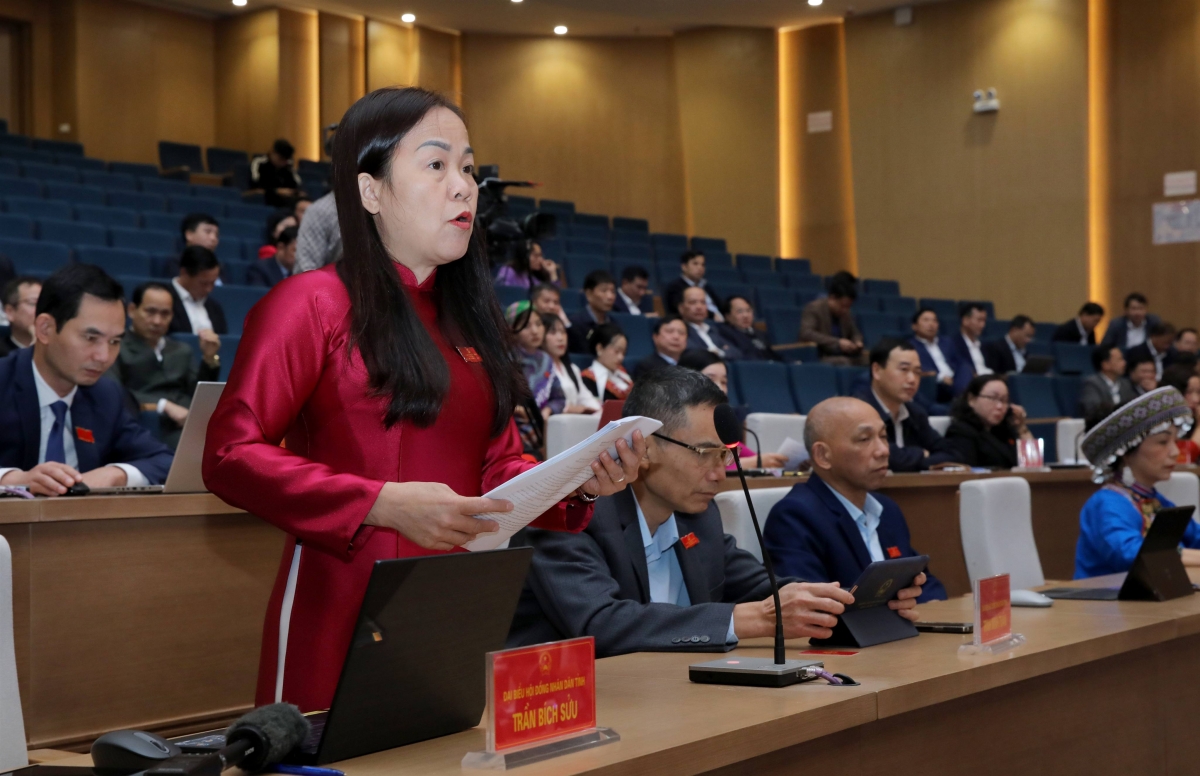 Đại biểu Trần Bích Sửu đặt câu hỏi chất vấn Giám đốc Sở Tài chính