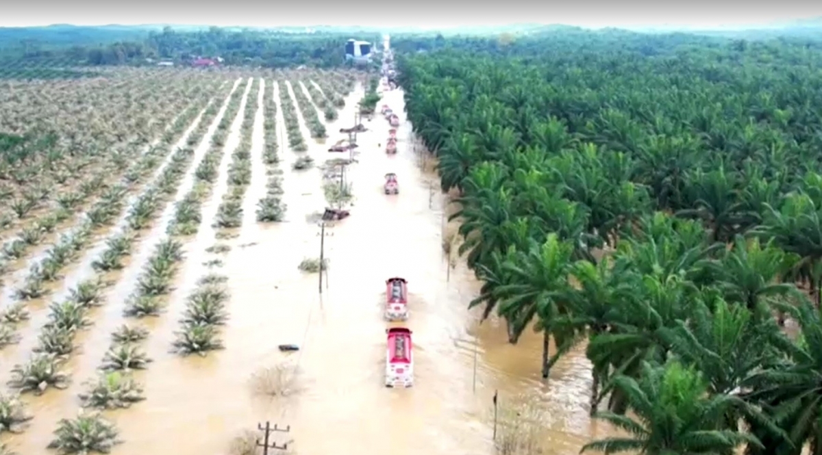 Đoàn xe cứu trợ đi trong nước ngập tại tỉnh Aceh (ảnh: Reuters)