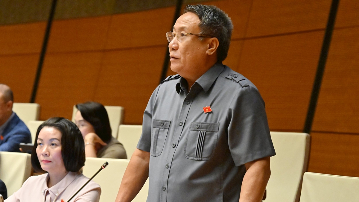 Đại biểu Hà Sĩ Đồng (Đoàn Quảng Trị)