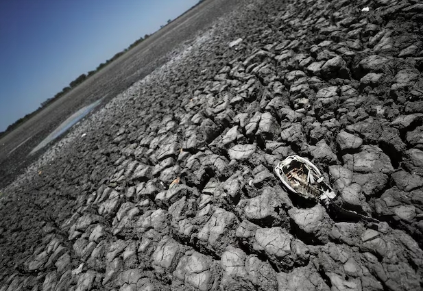 Tình trạng hạn hán kéo dài do La Nina. Ảnh: Reuters