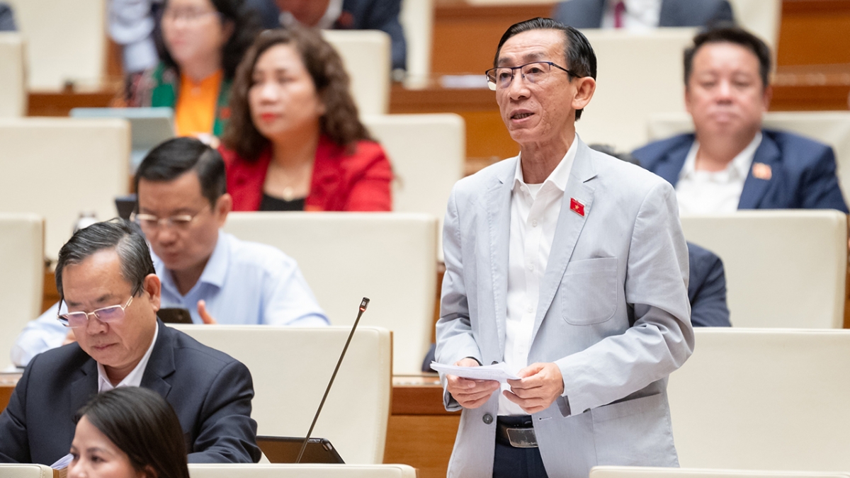 Đại biểu Trần Hoàng Ngân (đoàn TP.HCM)