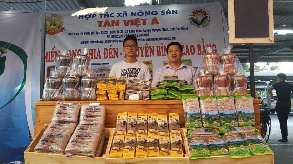 Sản phẩm Miến dong Tân Việt Á đã được thị trường đánh giá cao về chất lượng