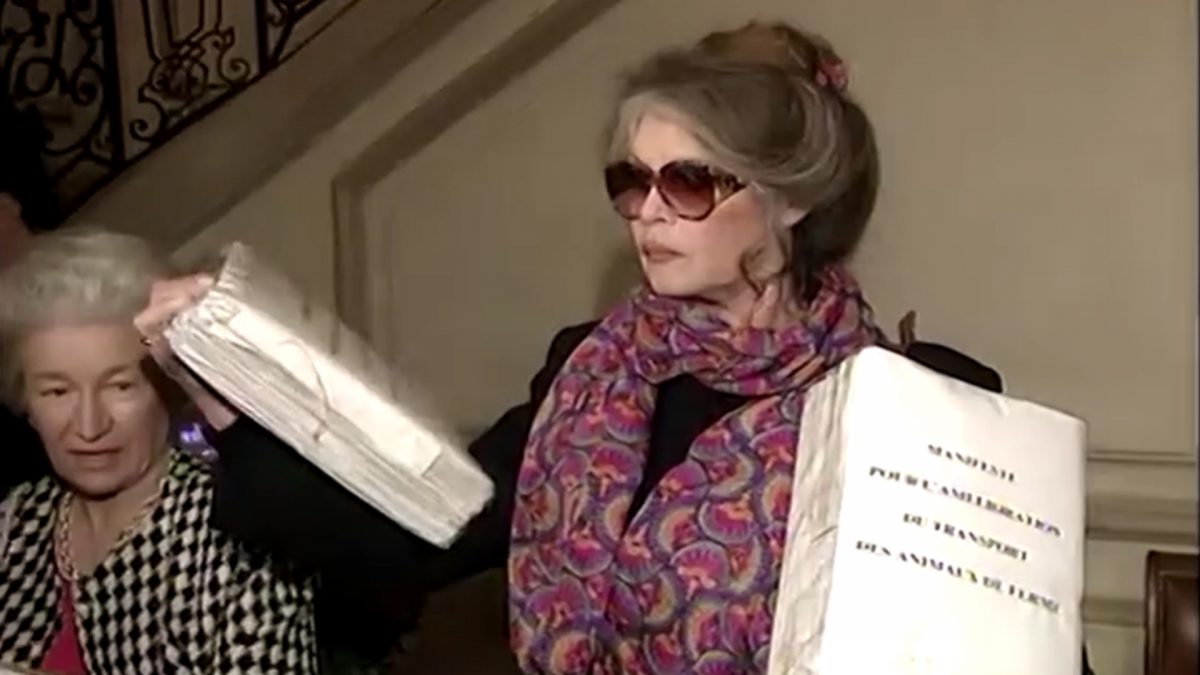 Huyền thoại điện ảnh Pháp, Brigitte Bardot (ảnh Reuters)