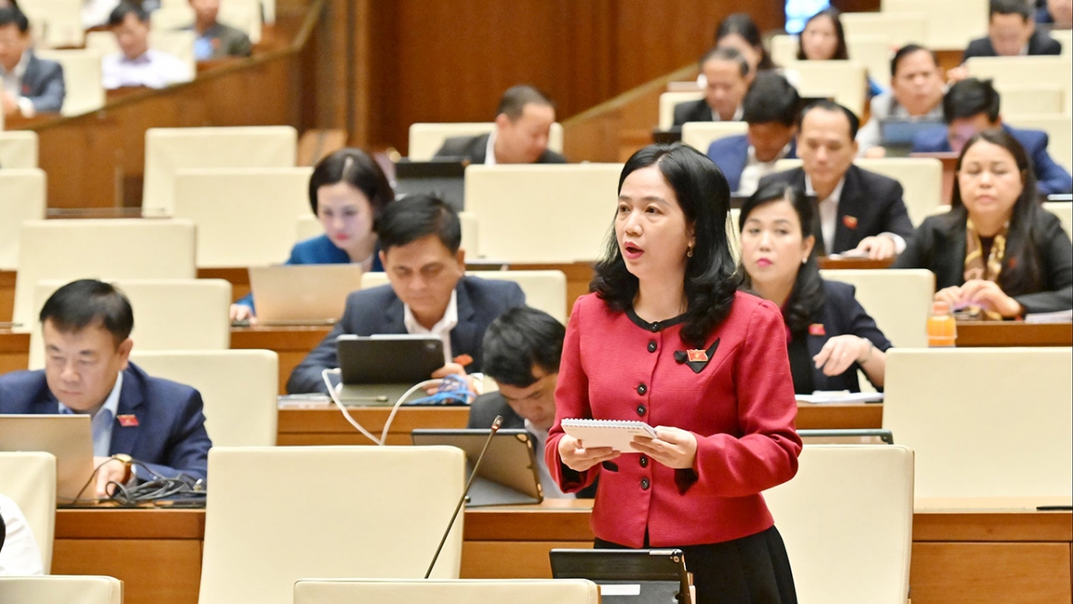 Đại biểu Điểu Huỳnh Sang (đoàn Đồng Nai)