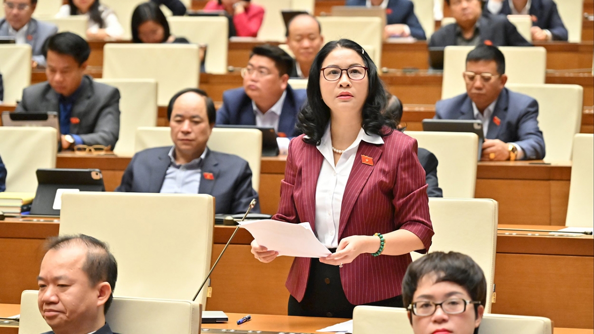 Đại biểu Nguyễn Thị Lan (đoàn Hà Nội)