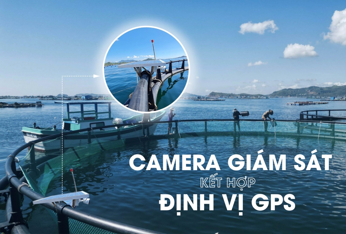Lồng HDPE kết hợp camera định vị GPS