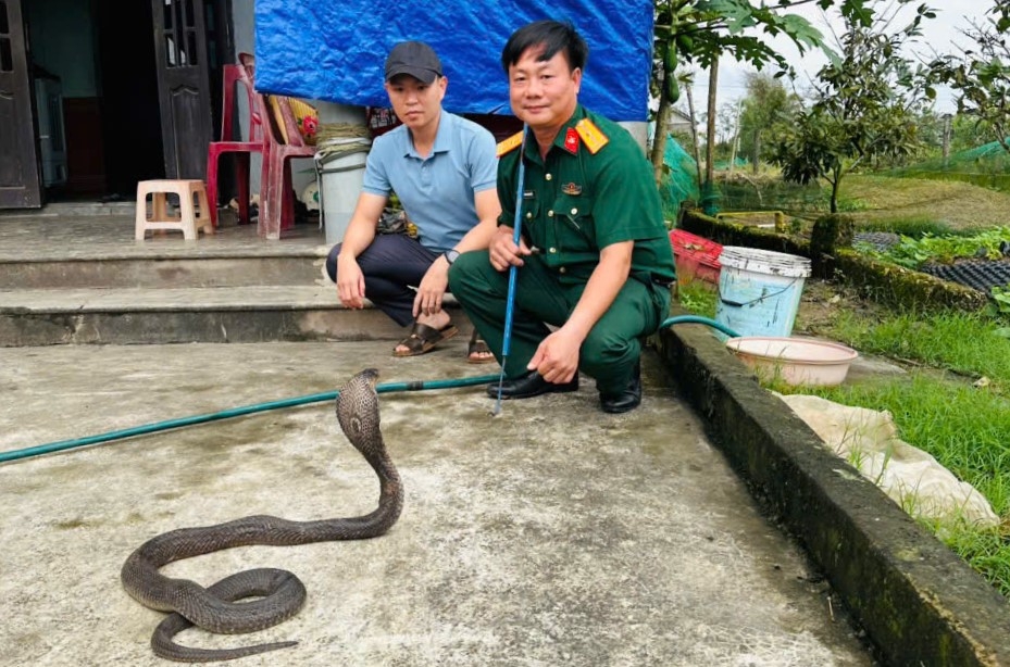 Lực lượng chức năng kiểm tra rắn trước khi bàn giao, tiếp nhận
