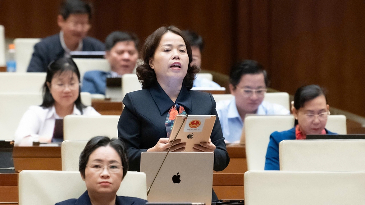 Đại biểu Lý Thị Lan (đoàn Tuyên Quang)