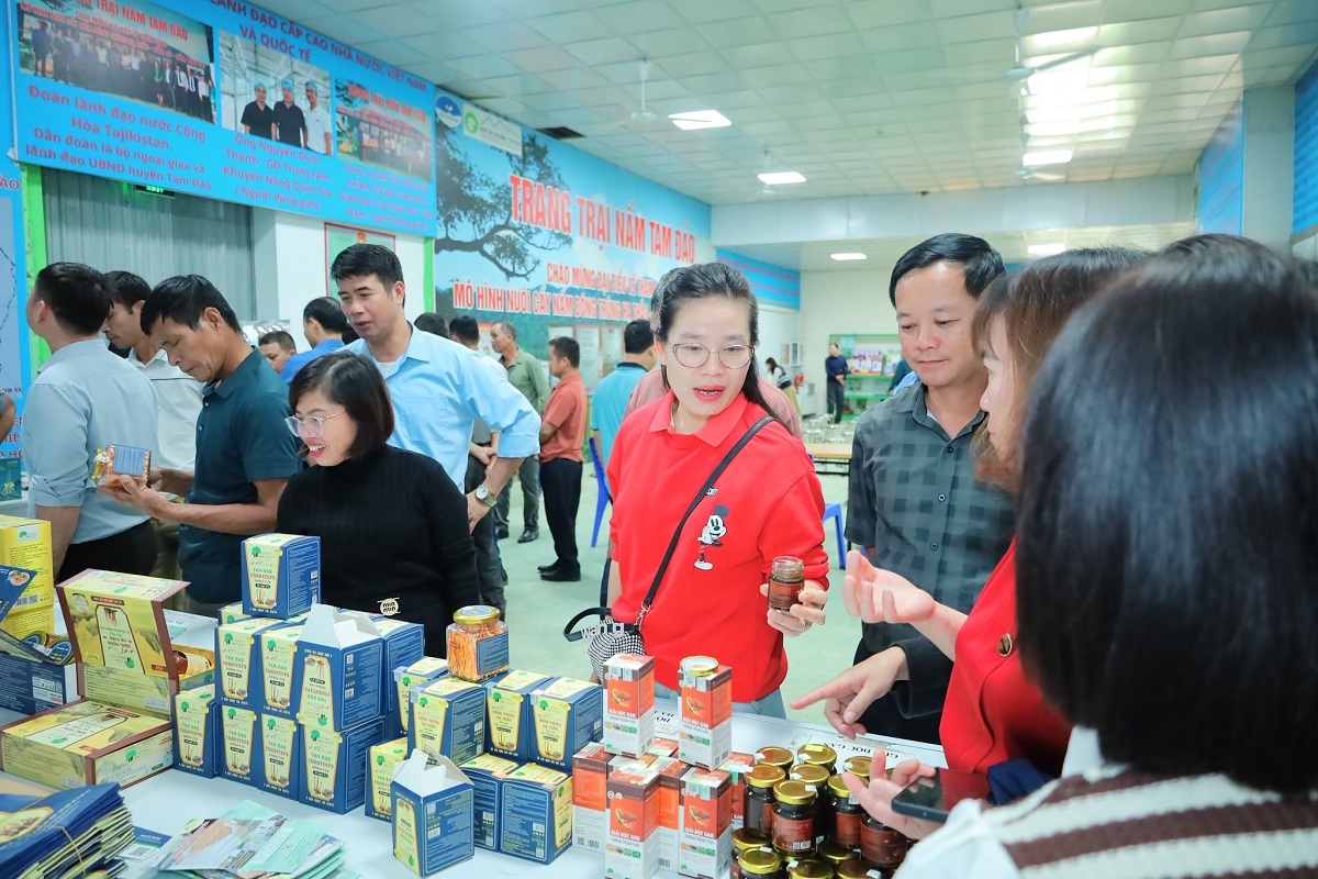 HTX không ngừng mở rộng quy mô hoạt động 